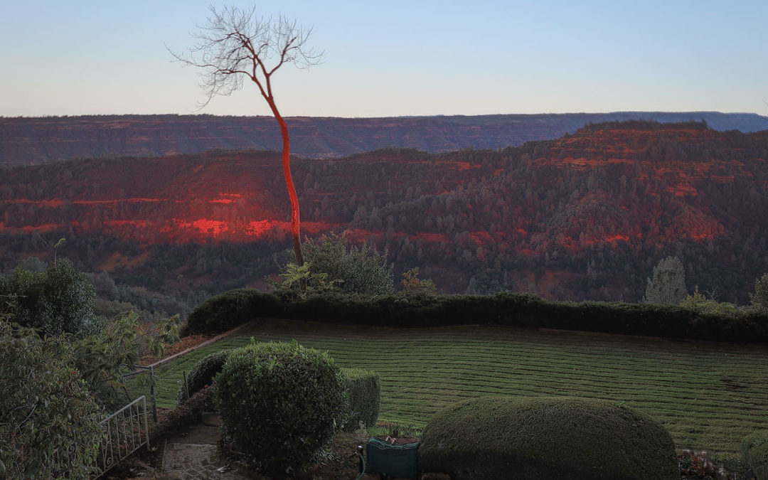Red Dawn in Paradise: A Photographer’s Survival Story, in Gratitude to All Who are Helping