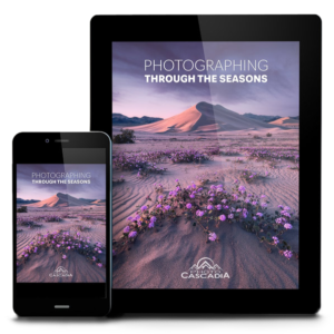 Photographing Through The Seasons - Store - Books, Videos, Plugins and more - Photography by Erin BabnikPhotography by Erin Babnik