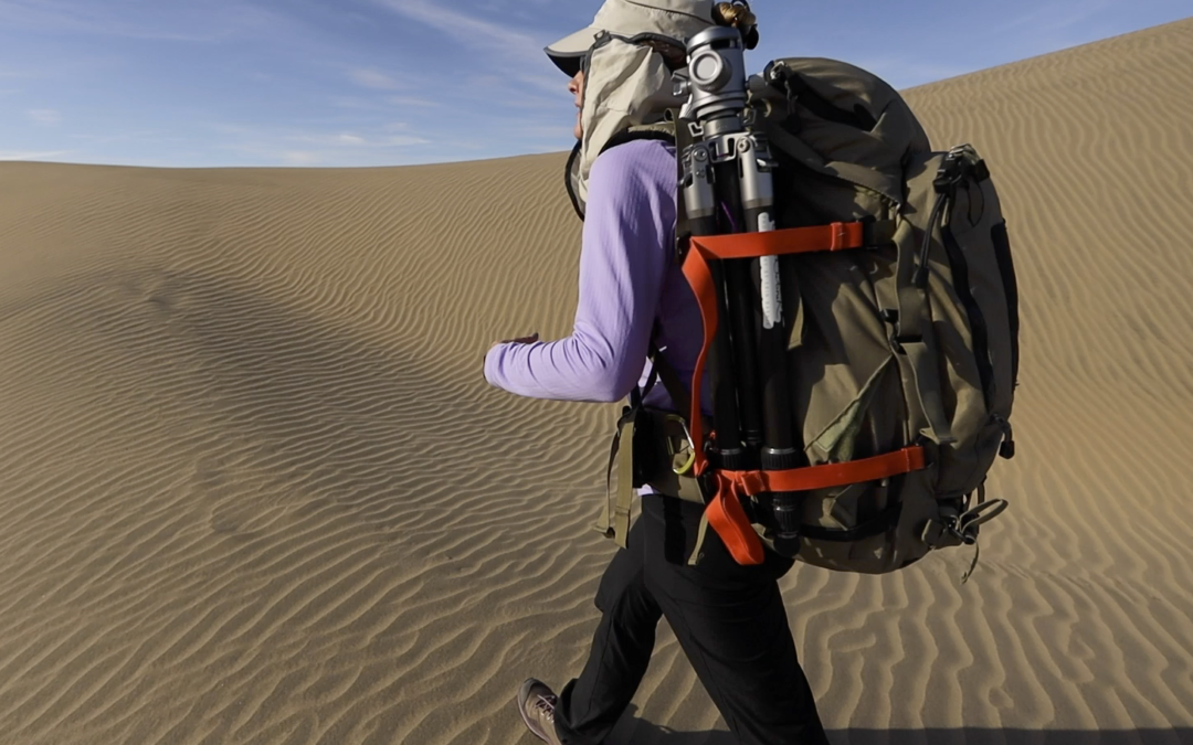 Enjoy a Virtual Trip to the Desert with Erin Babnik and Canon